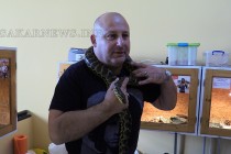Най-отровните змии на планетата гостуват на Свиленград (видео)