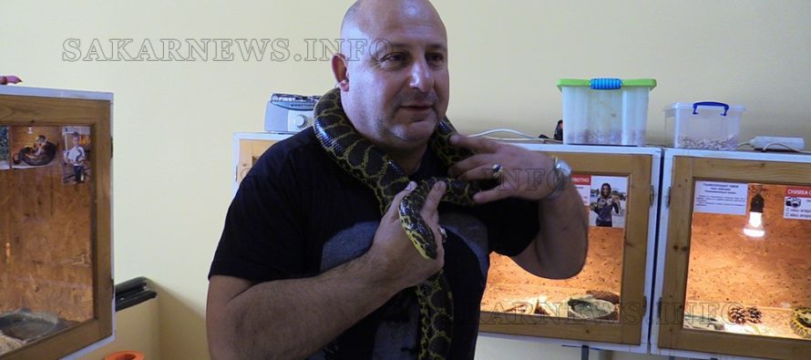 Най-отровните змии на изложба в Свиленград