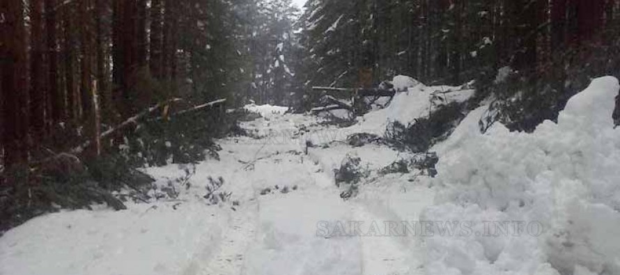 Бедствено положение обявиха и в Ивайловград