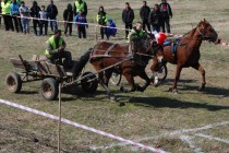 Най-издръжливите на бой коне станаха първи на състезание в Харманли
