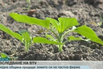 От бТВ се заеха с продажбите на земи в Тополовград
