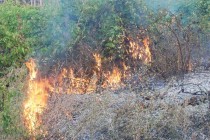 Над 3 000 декара са засегнати от пожара в Сакар