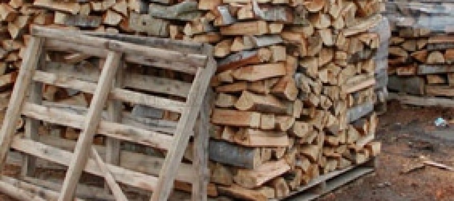 Община Харманли продава най-скъпите дърва в региона