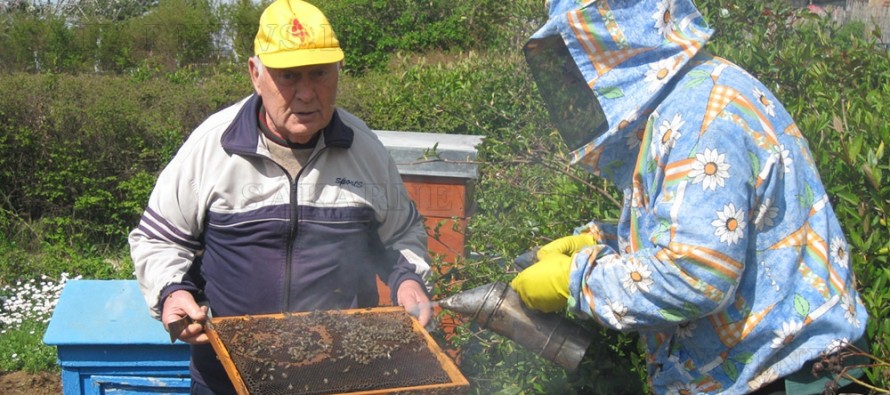 Пчеларството е дейност, която подслажда живота