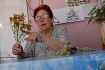 Петя Лозкова: „Много хора подценяват билките, тъй като лечението с тях е бавно“