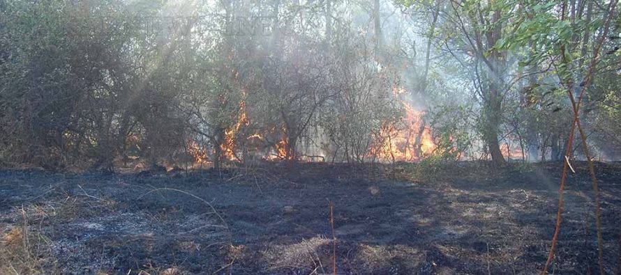 Голям горски пожар се разпростира из Маджаровско