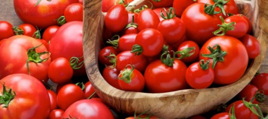 Скъпият домат срина цената на  патладжана