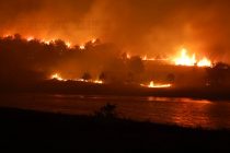За два месеца са гасени над 50 пожара  в община Тополовград