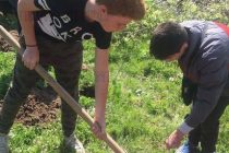 Деца засадиха фиданки в  опожарени през лятото гори