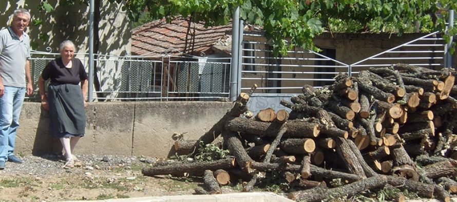 Кметът на Устрем Христо Илчев: „Проблемът с дървата за огрев в селото е решен“