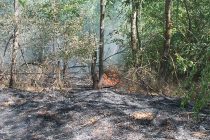 Поредният пожарът в Сакар планина е локализиран