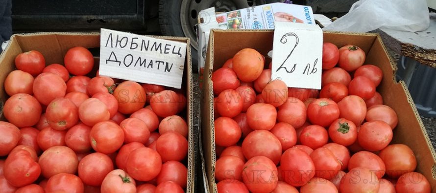Уникален сорт домати от ЛЮБNМЕЦ