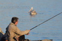 Рибари и пеликан ловят риба на Топлото езеро в Гълъбово