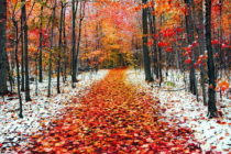 Улови мига, „Когато есента и зимата се срещат“