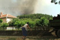 Изгоря още 2 000 дка 40-годишна борова гора