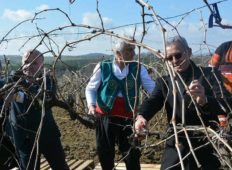 Депутати и кмет зарязаха край Стамболово на Трифоновден