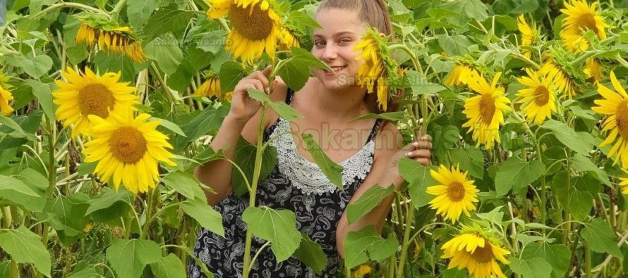 Симона сред слънчогледите печели във фотоконкурса “Лицето на лятото”