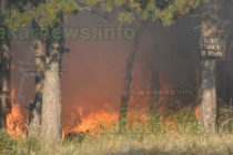Огнеборци се справиха с три пожара край Харманли