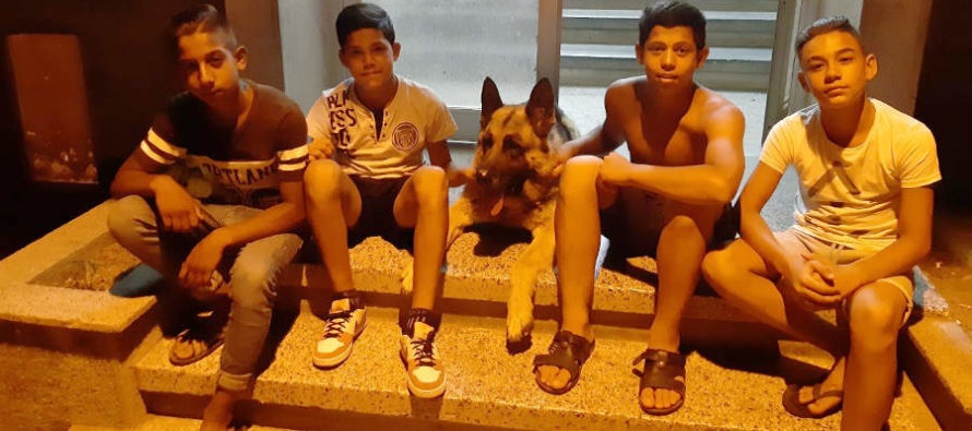 Деца от ромска махала върнаха куче на собственика му