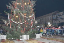 Коледната елха в Тополовград грейна