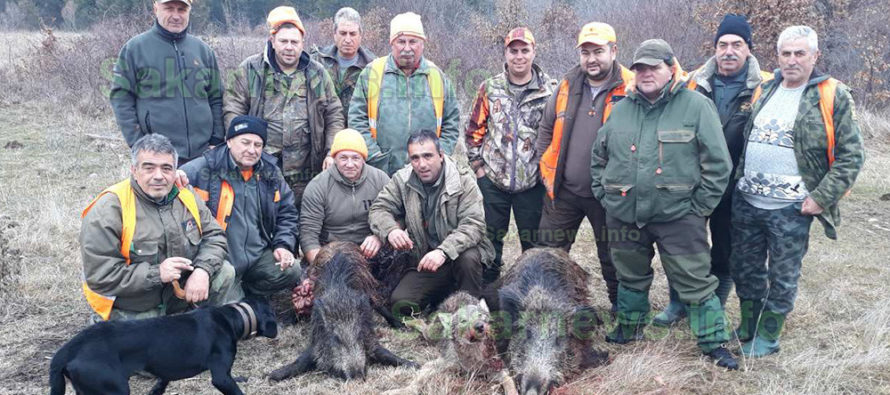 Ловци отстреляха вълчица и два глигана