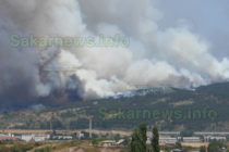 Голям пожар гори край Харманли