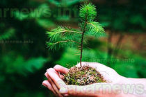 1000 дървета „търсят“ доброволци за засаждането им