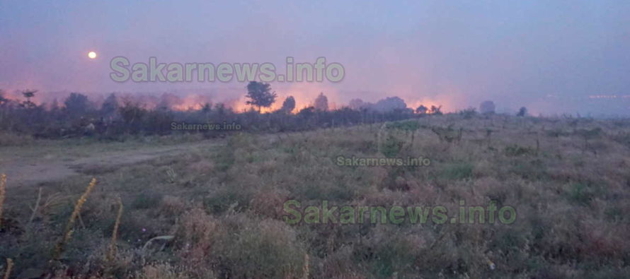 Пожарът край село Изворово е овладян
