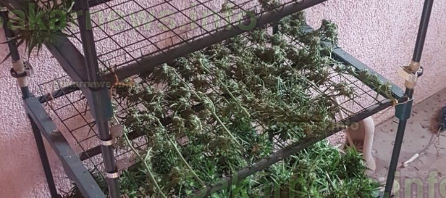 В с. Орешец задържаха мъж заради канабис в къщата му