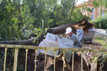 Какво прави Община Тополовград за ликвидиране последствията от бурята?