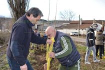 Кмет и общинари засадиха 100 тополи в Тополовград