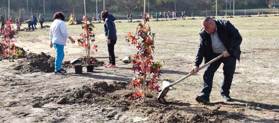 Отново засадиха дръвчета в парк „Димана Данева“