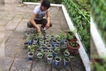В училището в с. Синапово учениците се учат на градинарство