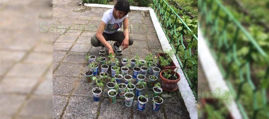 В училището в с. Синапово учениците се учат на градинарство
