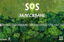 „Нестле“ възстановява 30 дка опожарена гора в Стамболовско