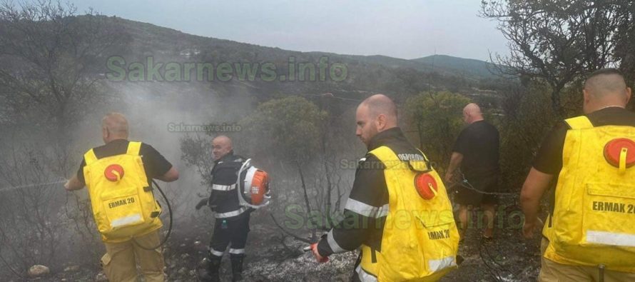 Доброволци от Тополовград помагат в гасенето на пожара край Ивайловград
