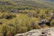 Правителството разреши на „Тинтява Експлорейшън” да търси метални полезни изкопаеми в ивайловградско