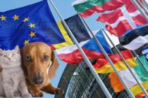 Предлагат реформа на правилата за хуманно отношение към животните в ЕС