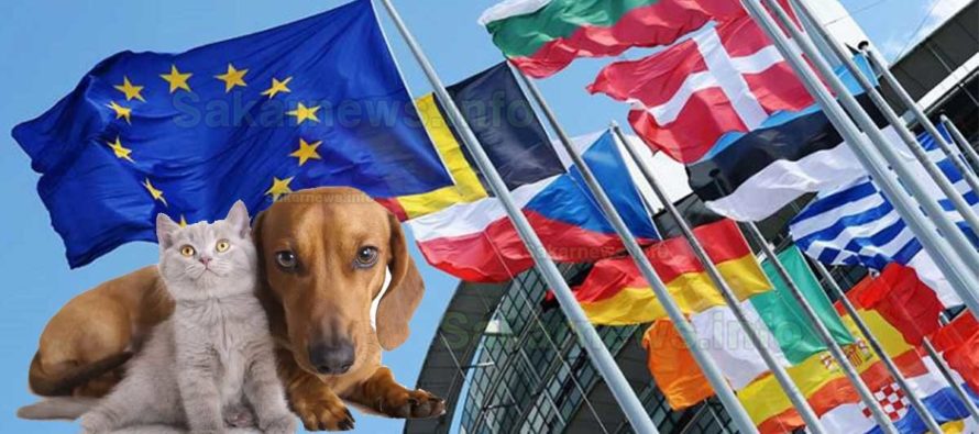 Предлагат реформа на правилата за хуманно отношение към животните в ЕС