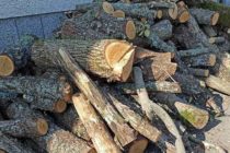 В Тополовградско започва кампанията за снабдяване с дърва за огрев