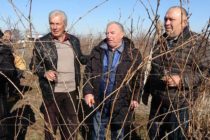 В Тополовград отпразнуваха Деня на лозарите и винарите