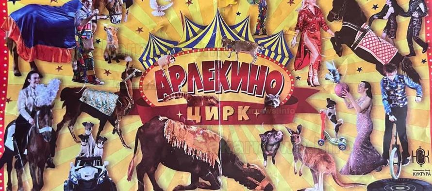 Цирк „Арлекино“ с представления в Харманли
