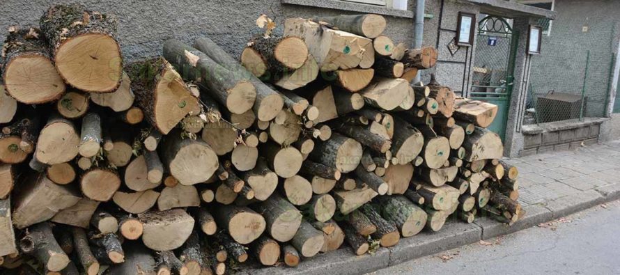 Намалиха цената на дървата за огрев