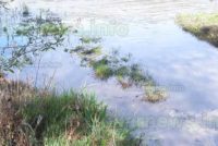 Замърсени води се изливат в река Марица