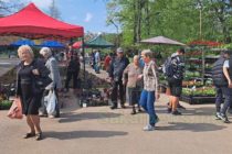 Тополовградският пазар остава в Градския парк
